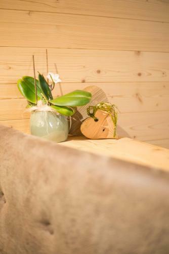 Hostal Gasthof Jaufensteg