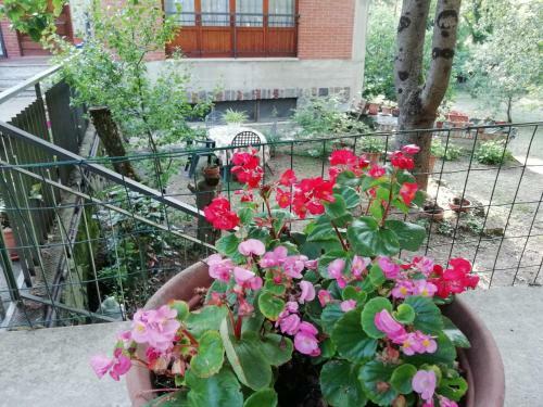 Apartamento Casa Della Nonna
