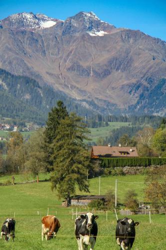 Apartamento Huberhof Mareit - S�dtirol