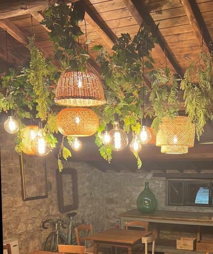Hotel Locanda Podere Le Vigne