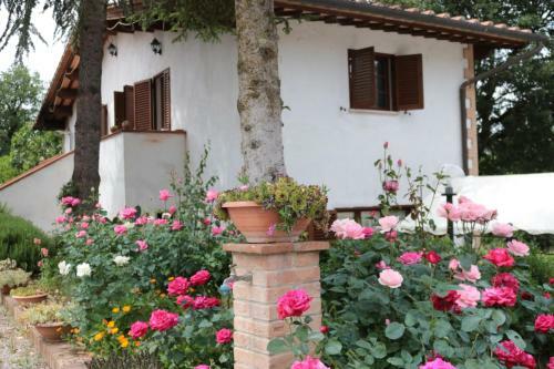 Bed & Breakfast Boscodisotto