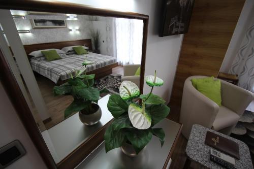 Bed & Breakfast Pension Silvia