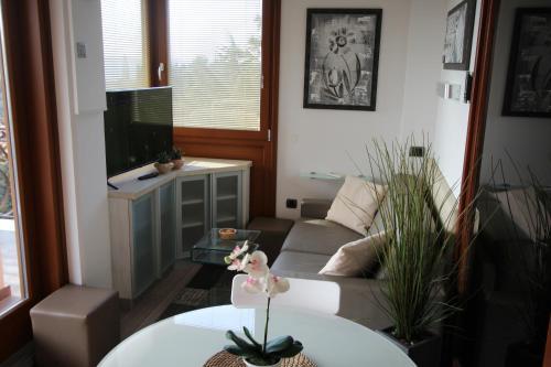 Bed & Breakfast Pension Silvia
