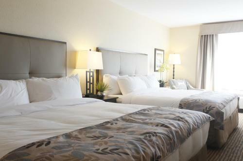 Hotel Pomeroy Inn & Suites At Olds College