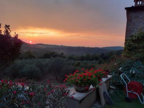 Podere Casalbosco - Idromassaggio E Panorama