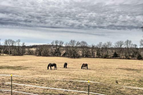 Buffalo Home On A Hill With Pasture Views!