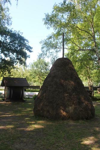 Spreewald Ferienwohnung L�bben