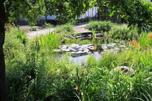 Apartamento An Der Hainm�hle