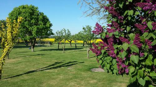 Apartamento Landferienhof "m�ritzufer"