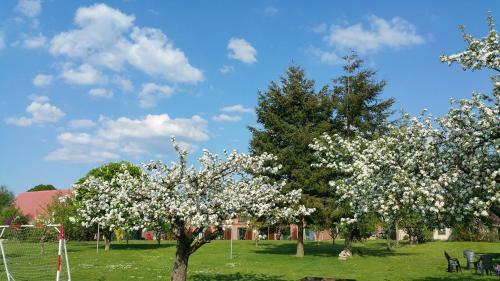 Apartamento Landferienhof "m�ritzufer"