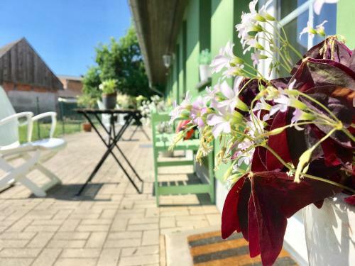 Apartmenthaus L�tt Meer