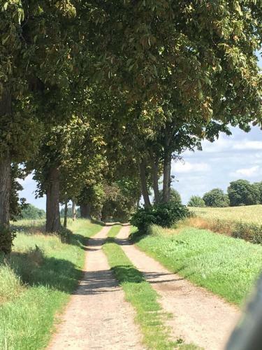 Apartmenthaus L�tt Meer
