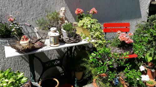 Bed & Breakfast Ferienzimmer T�ubchen