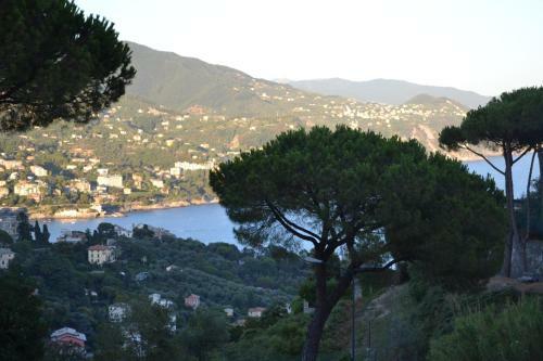 Apartamento Quadrilocale Residence Portofino Est
