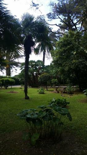 Apartamento Rapallo Suite