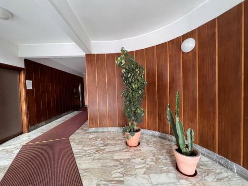 Apartamento C� Limoni