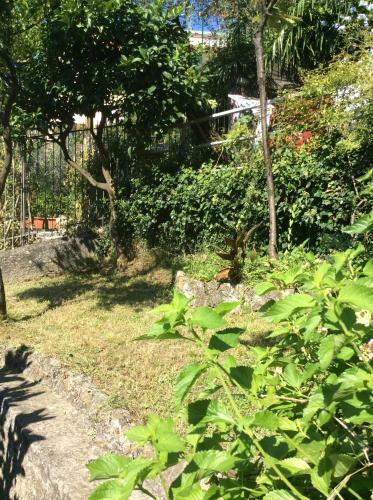Apartamento C� Limoni