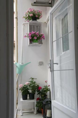 Apartamento La Casa Dei Lill�