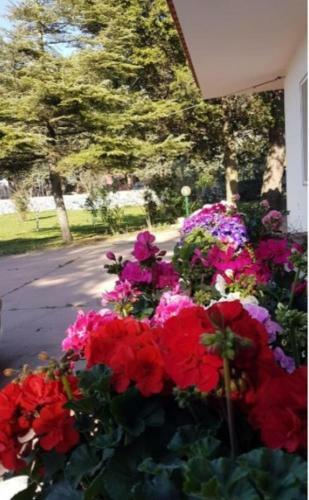 Hostal La Dimora Di Nonno Nuccio