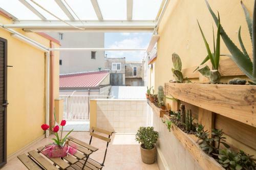 Hostal Pura Vida Barocca