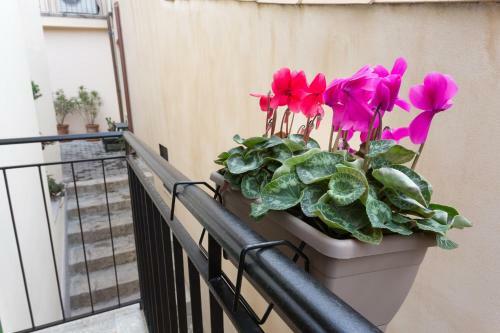 Hostal Pura Vida Iblea