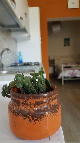 Apartamento Amocasa