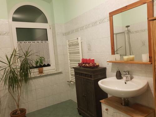Apartamento Fewo "mohnblume" Am Stadtpark