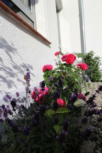 Ferienhaus L�neburg