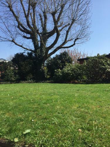 Apartamento Wilschenbruch