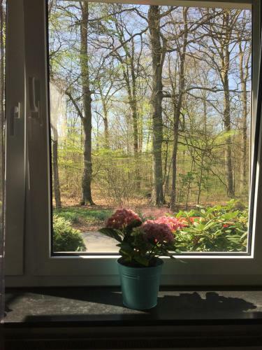 Apartamento Wilschenbruch