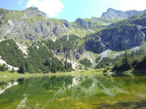 Apartamento Ferienwohnung Wild