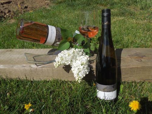 Apartamento Ferienwohnung Weingut Gro�