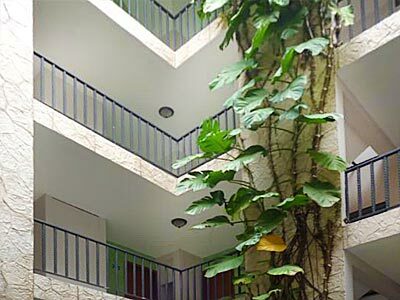 Hotel Ca�ada Internacional