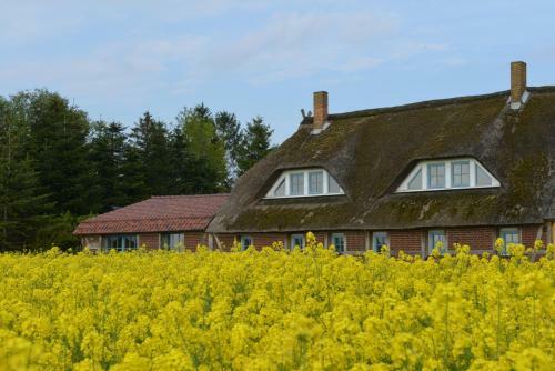 Apartamentos Landhaus Maltzien