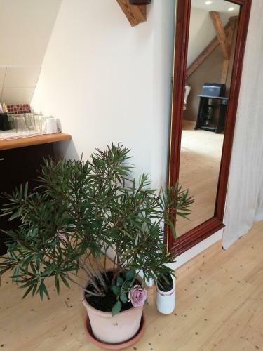 Apartamento Sch�ne Wohnung Im Dachgescho� Mit Domblick