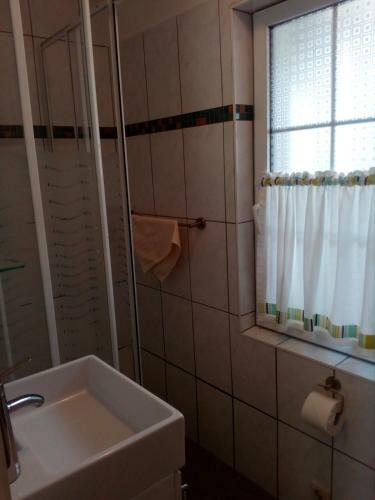 Zu Der Vogelschar