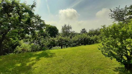 Apartamento Ferienwohnung Eckhardt
