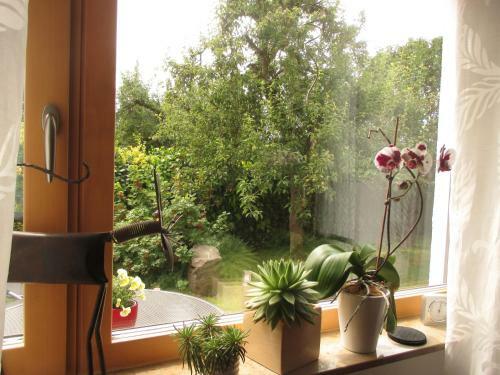Apartamento Ferien Bei Naus - Ferienwohnung