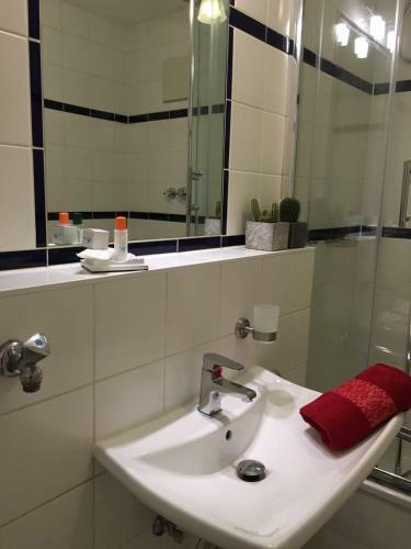 Apartment 'rheinblick' Mit Grosser Terrasse