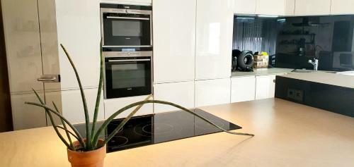 Gem�tliches Privatzimmer In Mannheims Stadtmitte