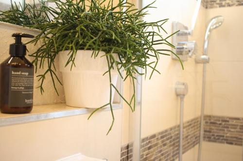 Apartamento Zuhause Mit Berg-und Bodenseesicht