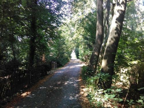 Apartamento Haus G�hrenz