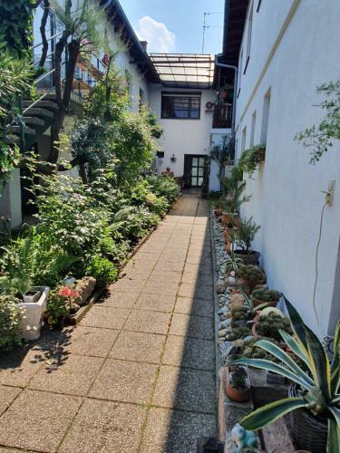 Apartamento Appartement Roiss
