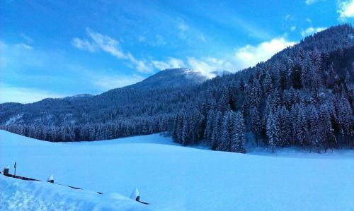 Apartamento Haus Zur Klamm