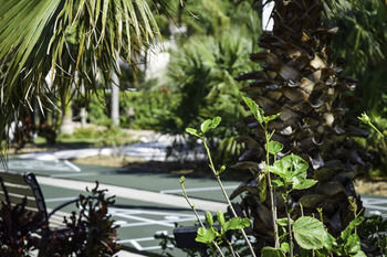 Hotel Tropical Beach Resorts - Sarasota