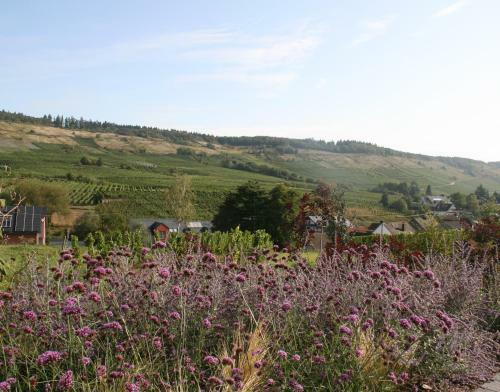 Apartamento Ferienwohnung Weinbergblick