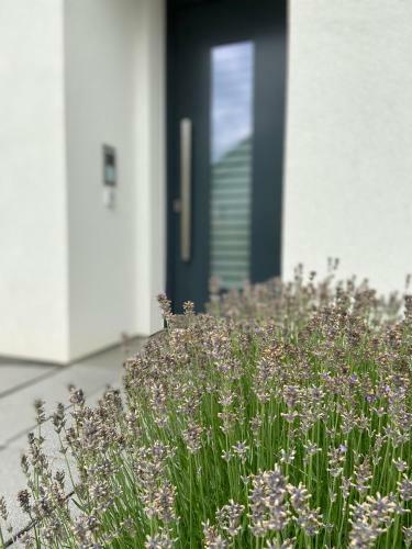 Apartamento Ferienwohnung Weinbergblick