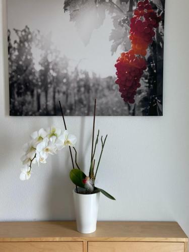 Apartamento Ferienwohnung Weinbergblick