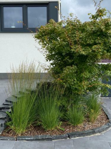 Apartamento Ferienwohnung Weinbergblick