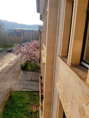 Apartamento Villa Am Park